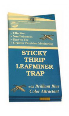 Seabright Laboratories Thrip Leafminer Traps 5 pack