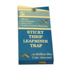 Seabright Laboratories Thrip Leafminer Traps 5 pack