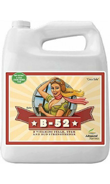 Advanced Nutrients B-52 Gallon