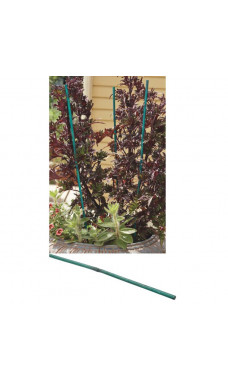 Green Bamboo Stake 4ft