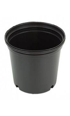 Blow Molded Classic Round 1.59 gallon Nursery Pot C600 No2