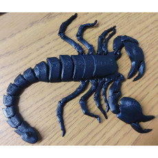 3D Printed Scorpion