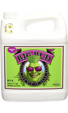 Advanced Nutrients Big Bud Gallon