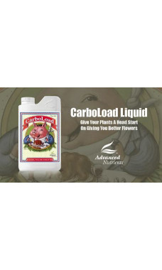 Advanced Nutrients CarboLoad Quart