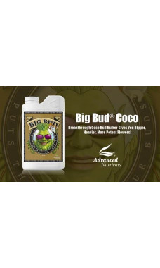 Advanced Nutrients Big Bud Coco 1pt